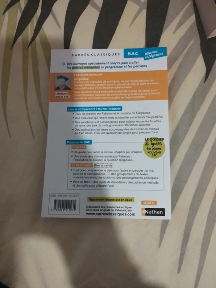 Livre gargantua - photo numéro 2