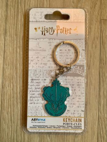 Porte-clé Harry Potter