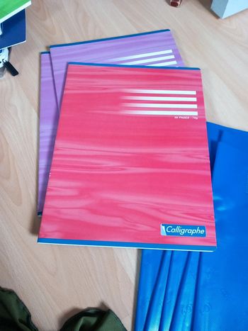 3 cahiers 96 pages et protège cahier