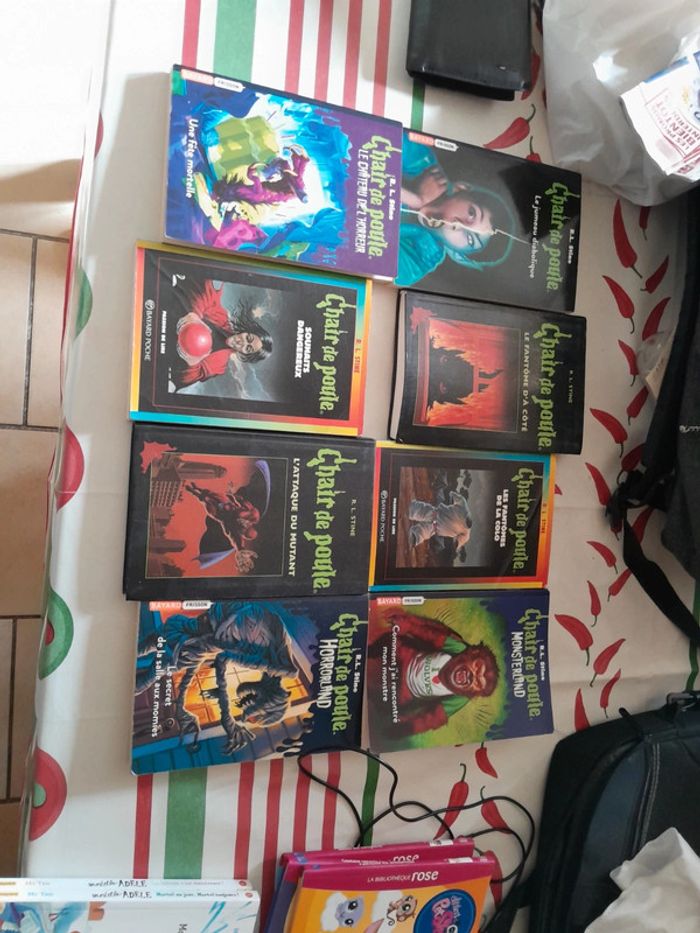 Lot chair de poule - photo numéro 2