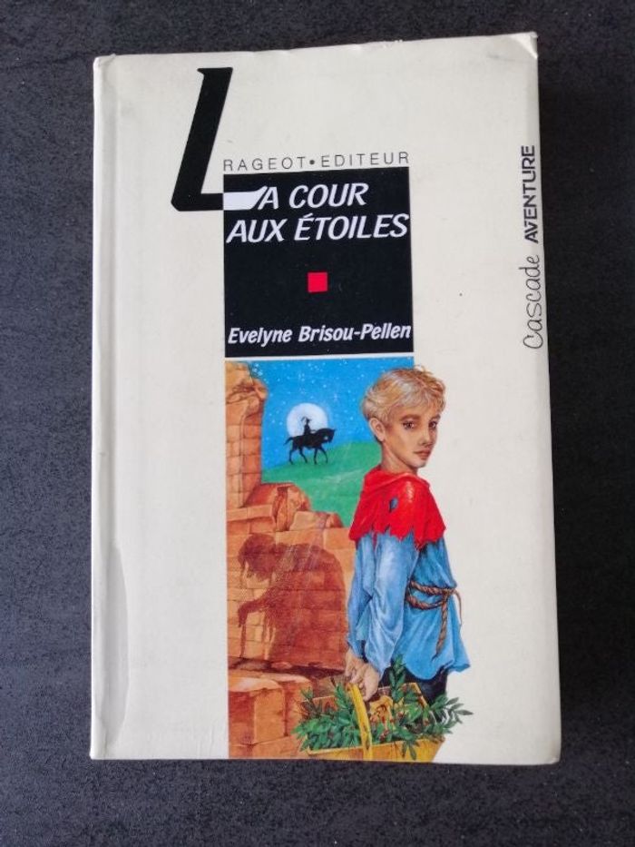 Livre La cour aux étoiles en très bon état