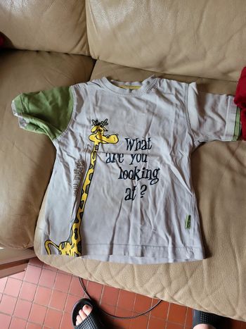 T shirt palomino