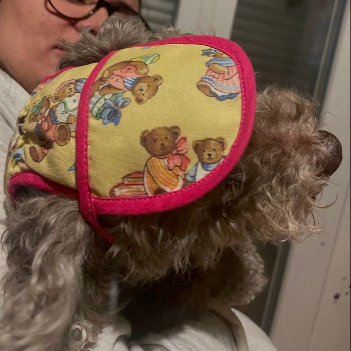 Casquette chien - photo numéro 3