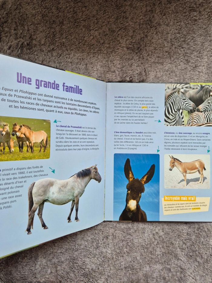 Livre les chevaux et poney - photo numéro 3