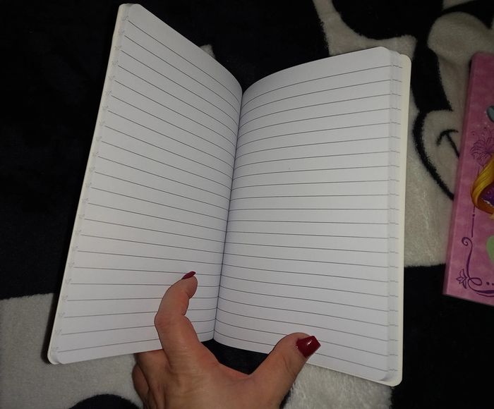 2 Carnets - photo numéro 3