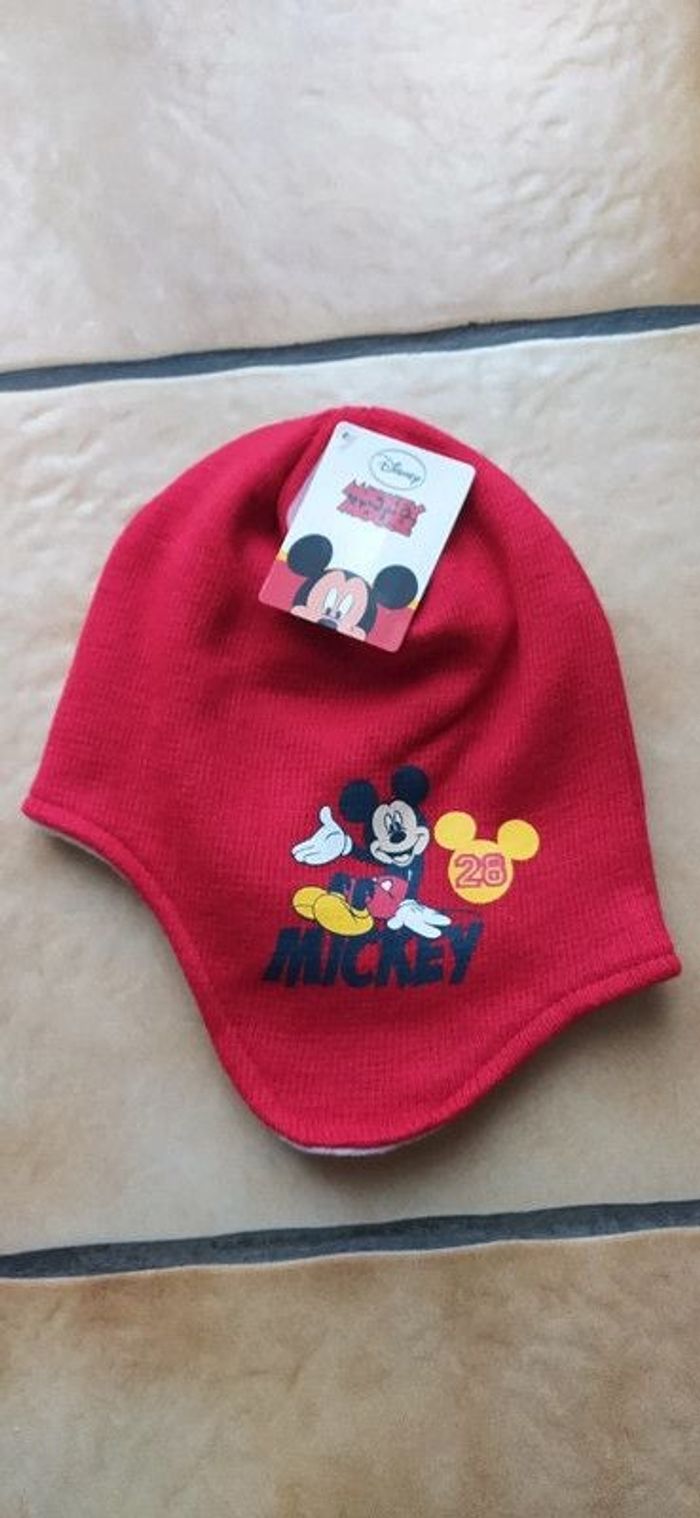 Bonnet péruvien cache oreilles "Disney".