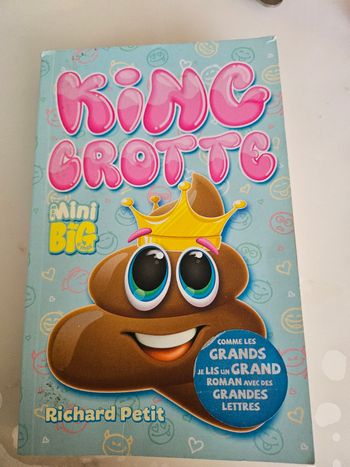 Roman a gros caractères 