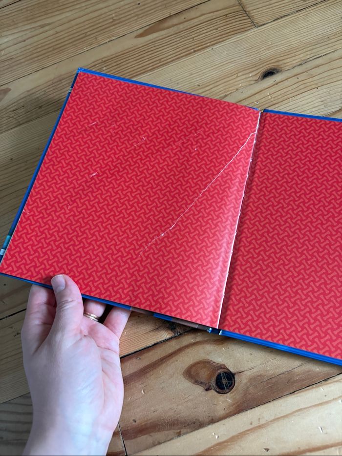 Lot de 20 livres pat patrouille - photo numéro 9