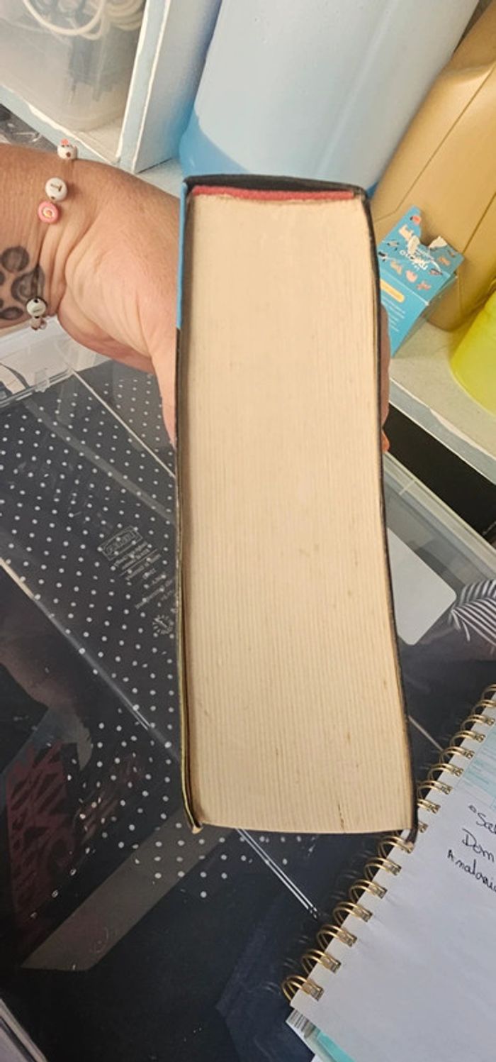🪷livre stephen king bazaar - photo numéro 4