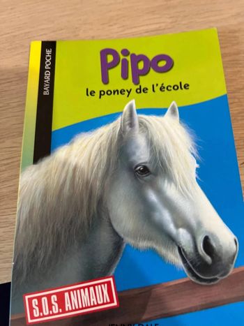 Pipo le poney de l école