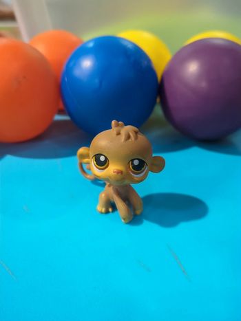 littlest Petshop Singe