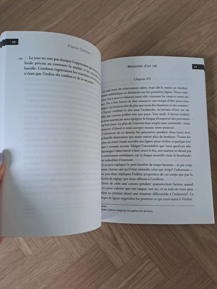 Mémoires d'un rat - photo numéro 2