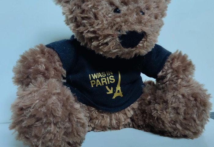 Peluche ours T-shirt "I was in Paris" - photo numéro 2