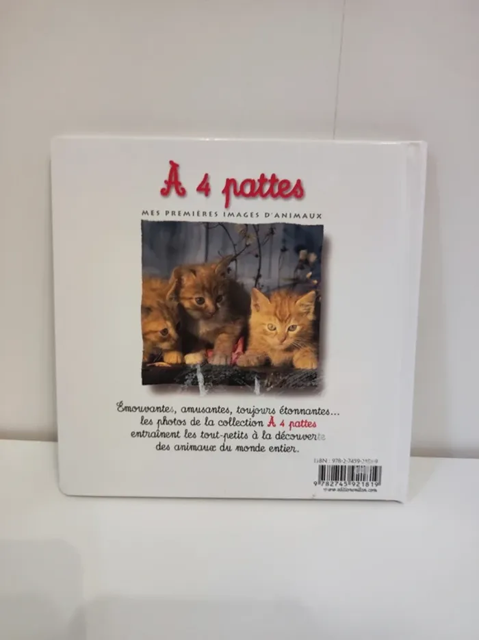 Livre Le chaton - photo numéro 2