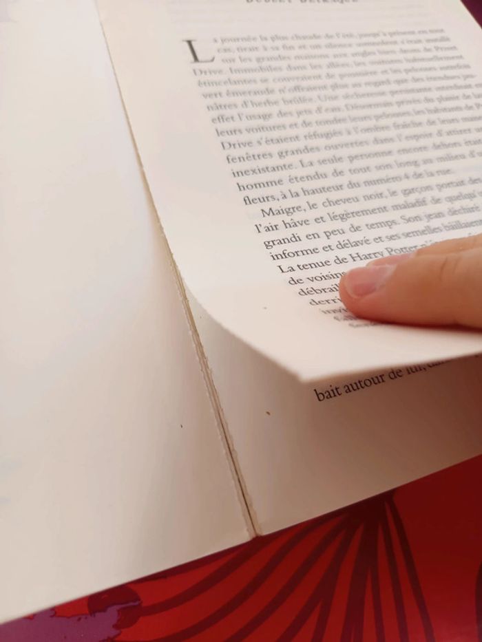 Harry Potter et l'ordre du Phénix - photo numéro 10