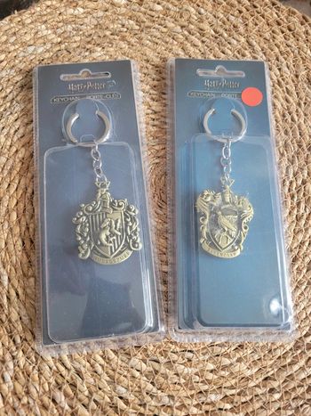 Lot 2 porte clefs Harry Potter