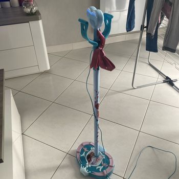 Micro reine des neiges