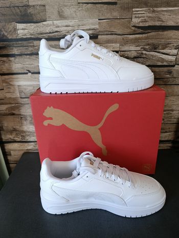 Basket puma 