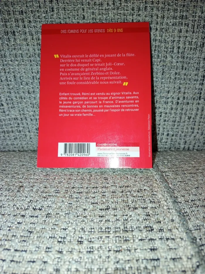 Livre "Sans famille" - photo numéro 2