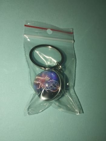 Porte clé signe astrologique cancer