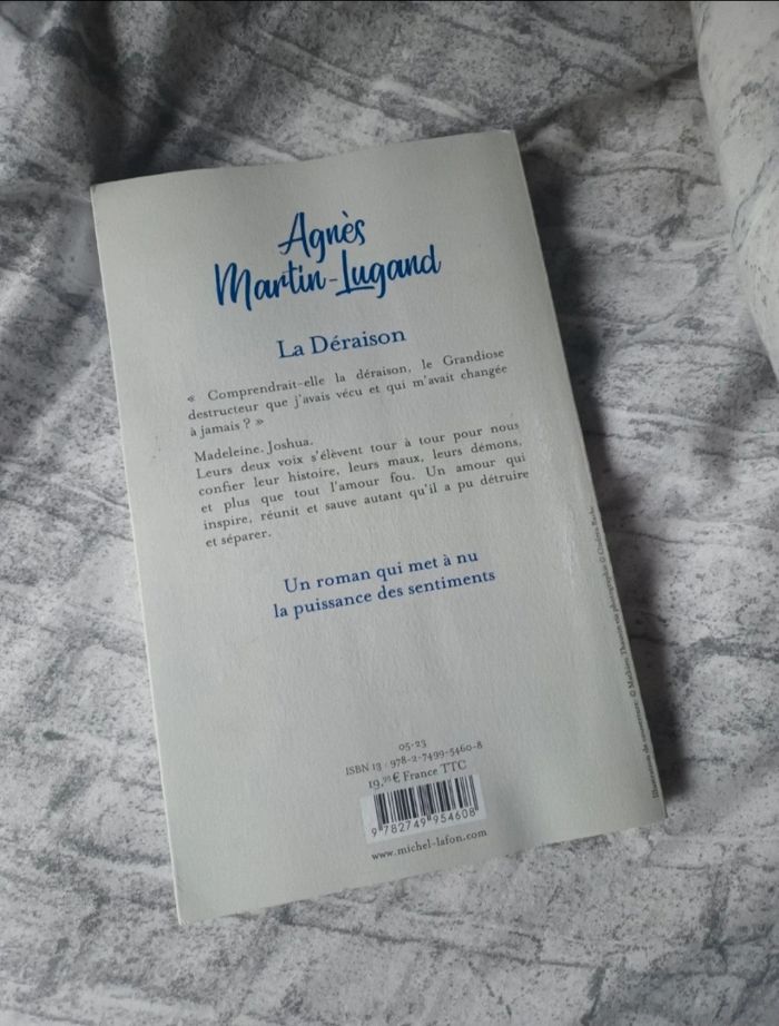 Livre " La Déraison " d'Agnès Martin-Lugand 💐💙 - photo numéro 2