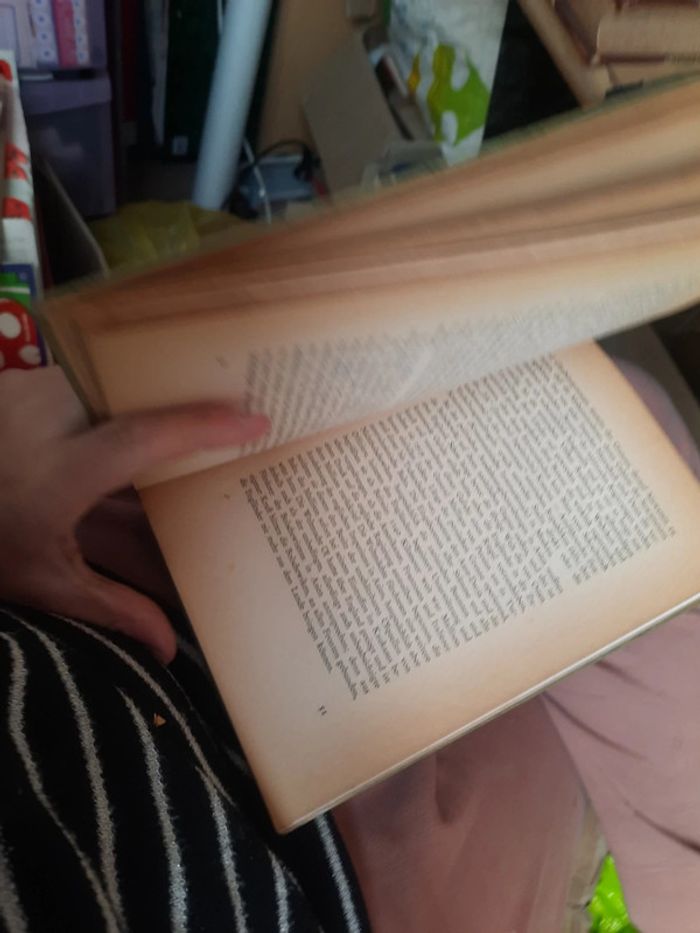 Livre en allemand allemand duchs verbotene land p h - photo numéro 10