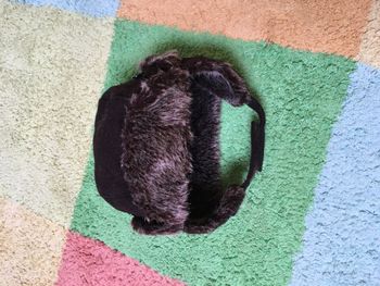 Bonnet style "Aviateur" - doublé polaire- 2 ans/ 24 mois - TBE - 