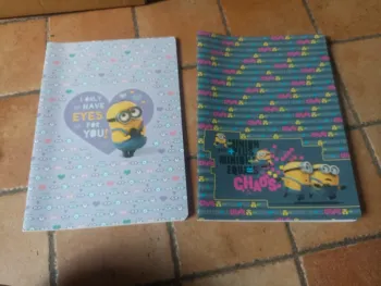 Lot deux cahier clairefontaine minion