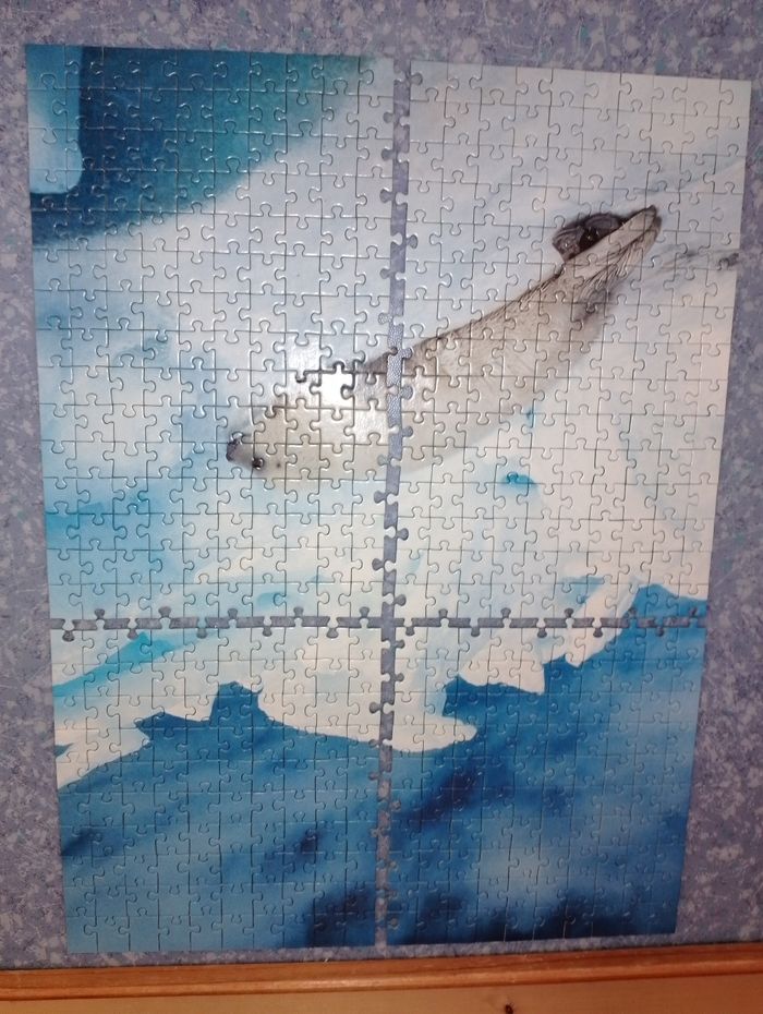 Puzzle bébé phoque complet 500 pièces Nathan - photo numéro 4