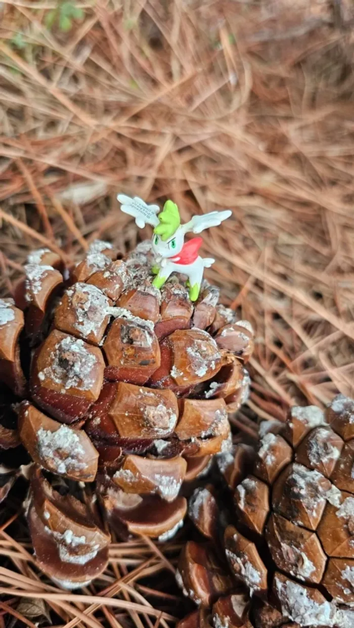 Super petite figurine Pokemon Nintendo shymin