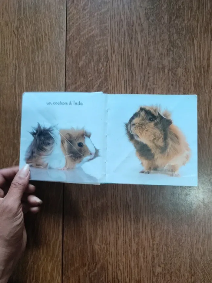 Livre mon Mini imagier des animaux - photo numéro 9