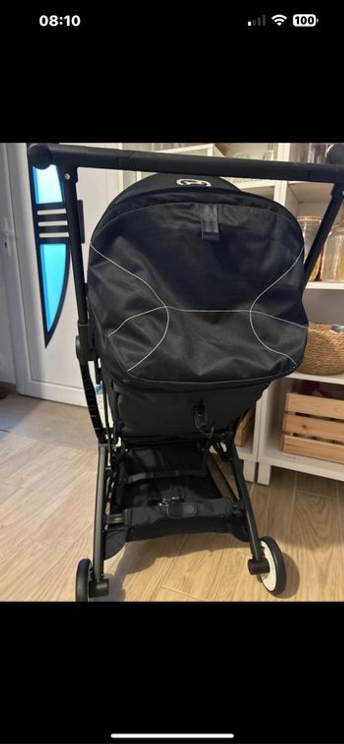 Poucette cibex libelle - photo numéro 6