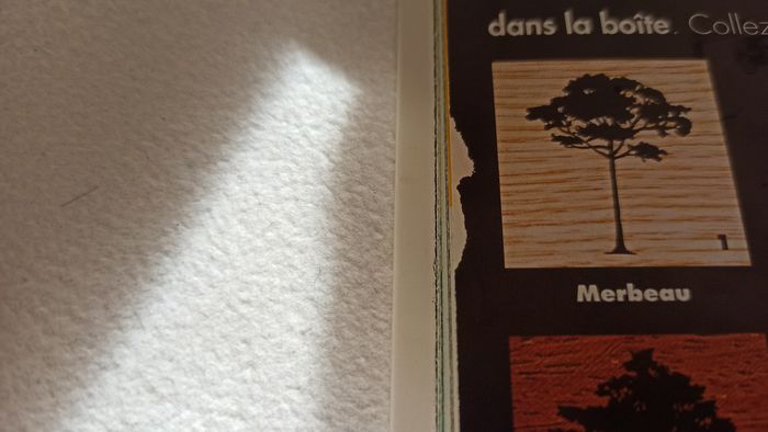 Livre Secrets de l'arbre - photo numéro 7