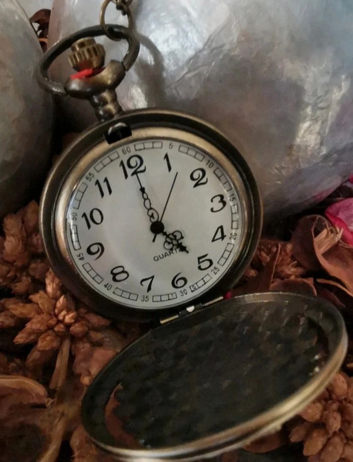 F54 montre à gousset rétro vintage originale bronze - photo numéro 2