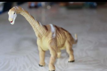 dinosaure