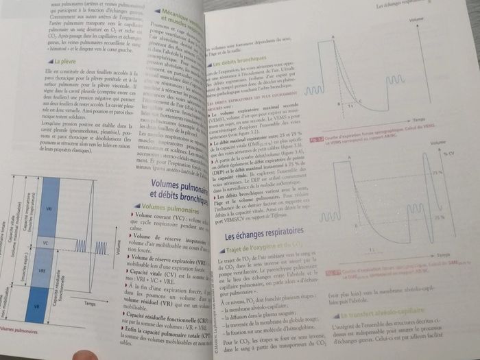 Lot 4 livres concours infirmière 📚 - photo numéro 14