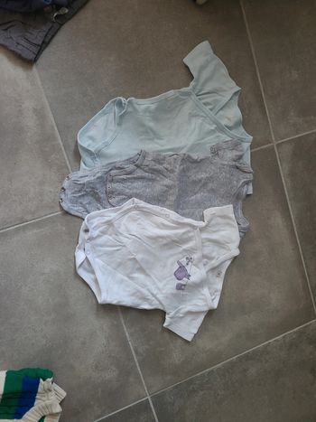 Lot bodies