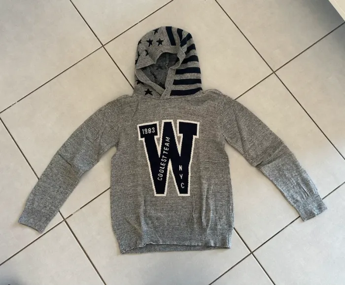 Pull fin à capuche gris TAO 10 ans