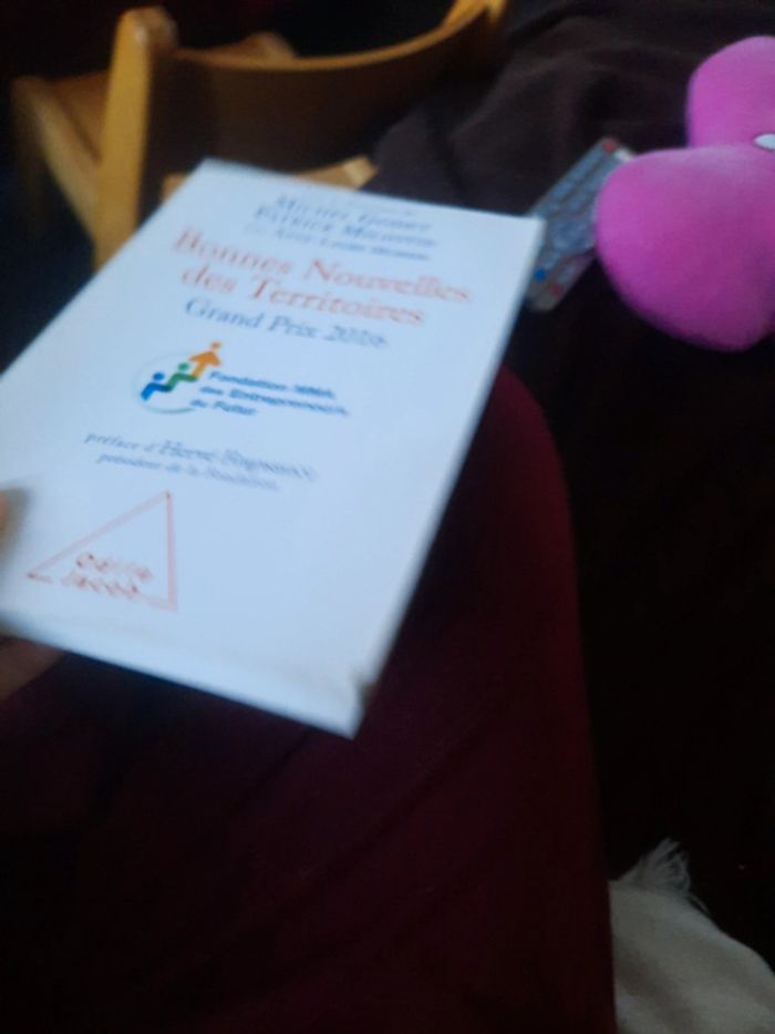 Livre bonnes nouvelles des territoires - photo numéro 2