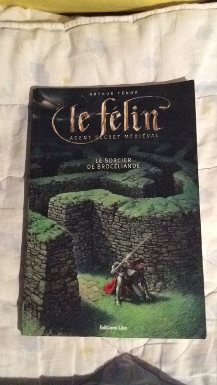 #le félin agent secret médiéval, le sorcier de Brocéliande par Arthur Ténor - photo numéro 2