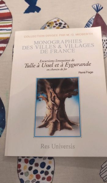 Monographie des villes et villages de France