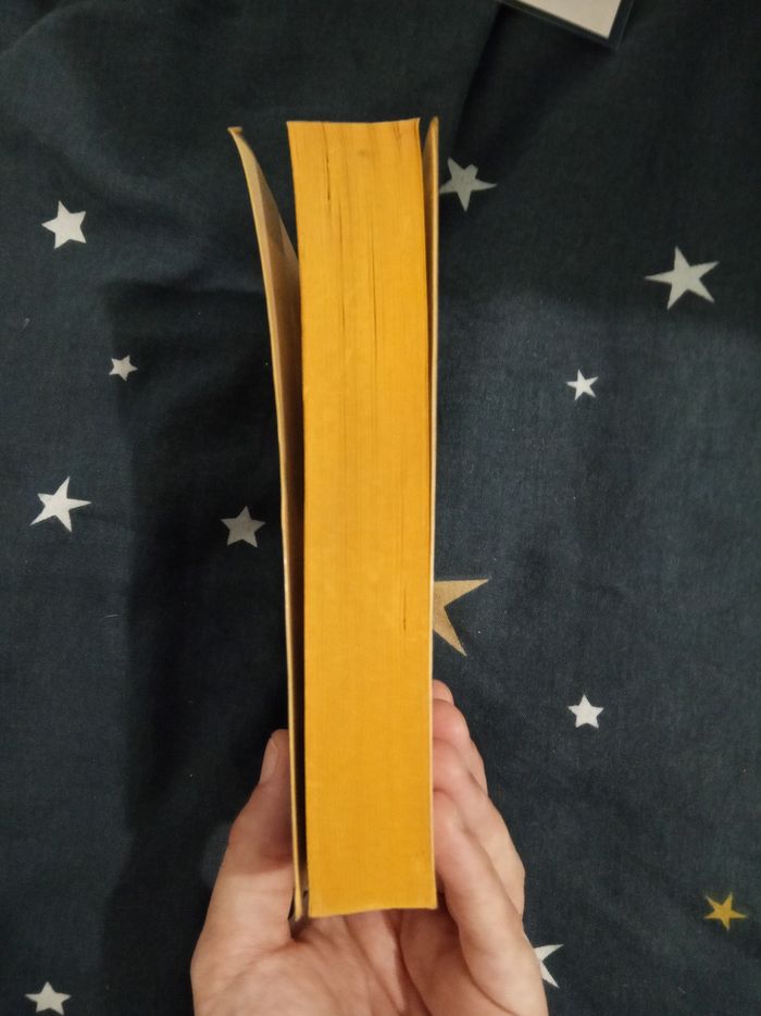 Livre (57) 📚 Hugo _ Les Misérables 3 - photo numéro 4