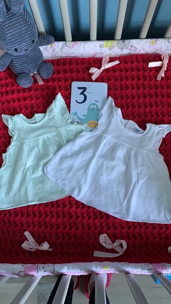 Tee Shirt 3 mois Tex neuf