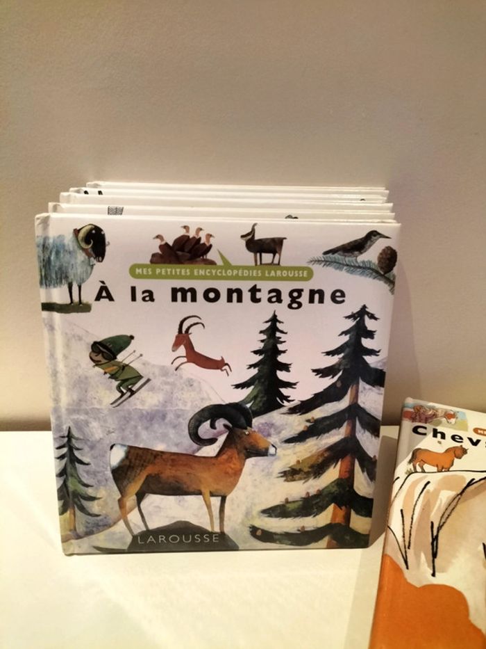 Lot de 8 documentaires Mes petites encyclopédies - photo numéro 7