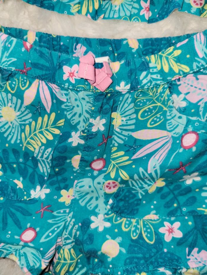 Ensemble tortue dpam 24m - photo numéro 3