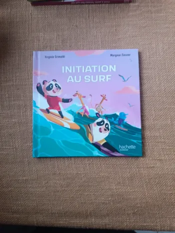 Initiation au surf (2)