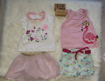 Lot flamand rose 4pieces 18m