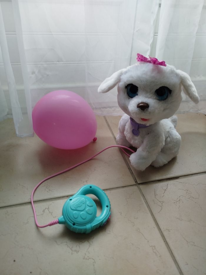 Chien dansant - photo numéro 2