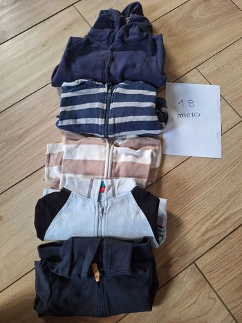 Lot vestes zippée à capuche 18 mois garçon 