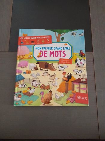 Mon premier grand livre de mots